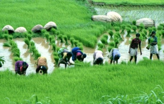 Agri Ministry open to pro-farmer changes in Crop Insurance scheme: Official