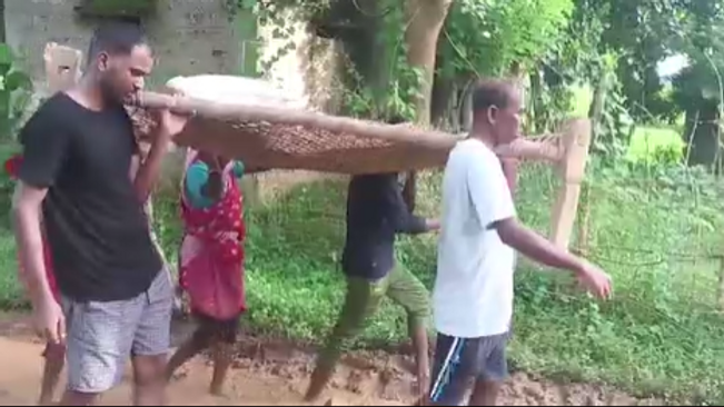 Patient Carried On Cot For 1.5 Km Due To Lack Of Road In Balasore Village