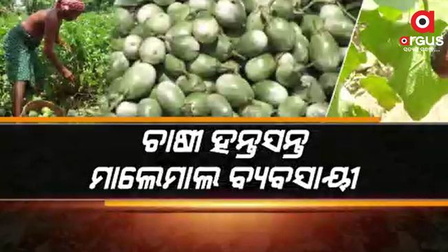 5 rupees in Angul and more than 40 rupees in Bhubaneswar