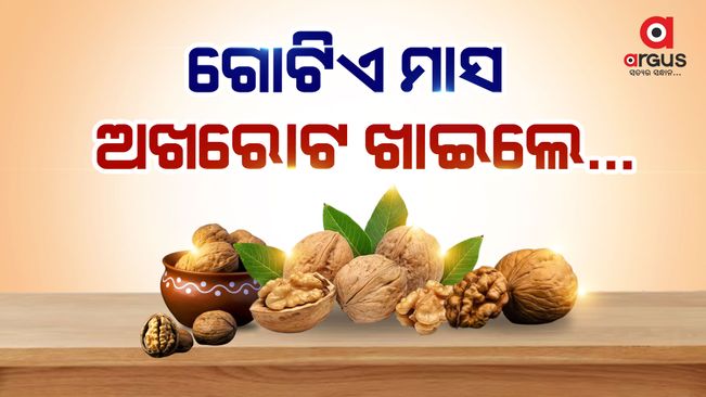 10 wonders can do walnuts for health why walnut should be eaten daily