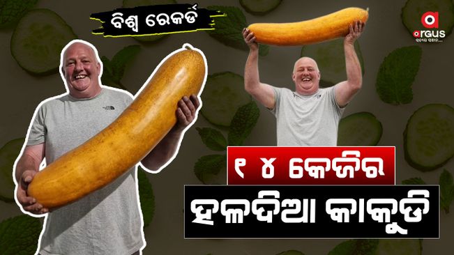 World's Biggest yellow Cucumber Is A Huge 14kg