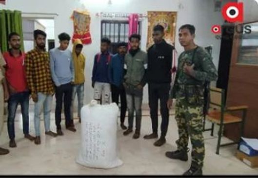 Eight, including 5 college students, arrested for smuggling ganja in Koraput