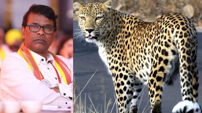 48 Leopards Have Been Died In Last 10 Years: Forest Minister Ganeshram Sing Khuntia