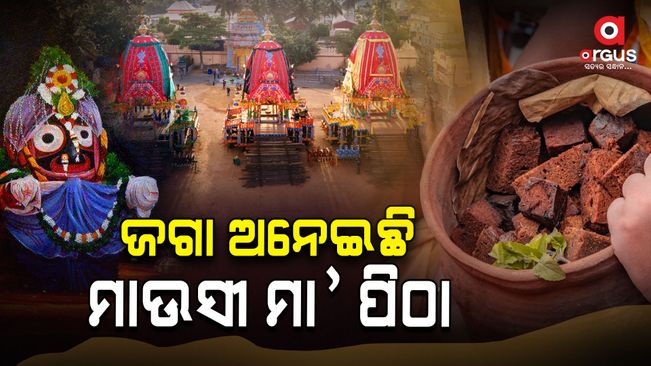 bahuda-jatra-of-lord-jagannatha