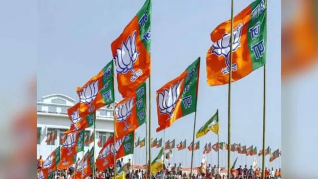 Elections 2024: BJP's Top Leader To Visit Odisha On May 8, 9