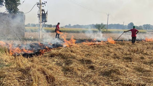 Centre Spent Rs 3,623 Crore On Steps To Curb Burning Of Crop Stubble