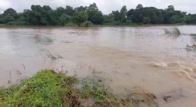 The plight of farmers after the flood water receded in the river