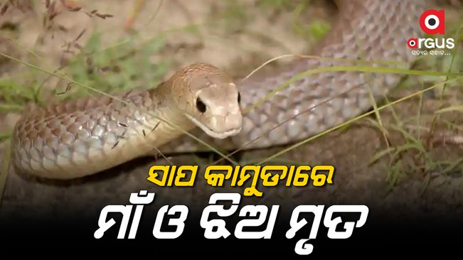 mother-and-daughte-died-in-snake-bite-in-nuapada