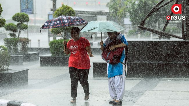 Odisha Weather: Extremely heavy rains to lash 7 Odisha districts