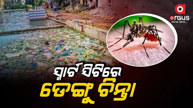 The number of dengue cases does not stop in Bhubaneswar and Khordha