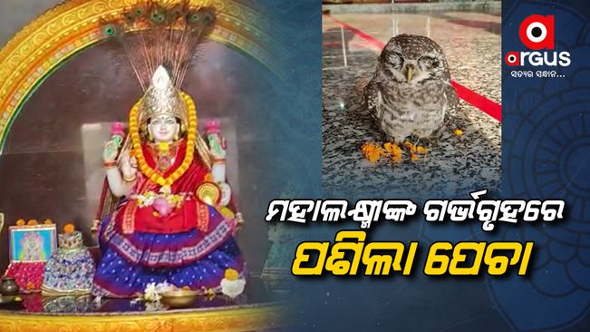 Bewildered devotee seeing Mahalakshmi's excuse