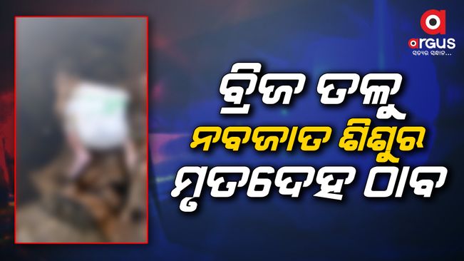 The body of a newborn baby was found under the bridge