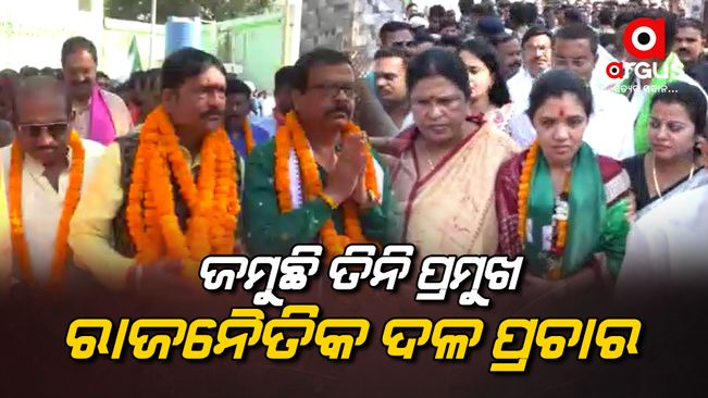 Three major political parties are campaigning in Padmapur