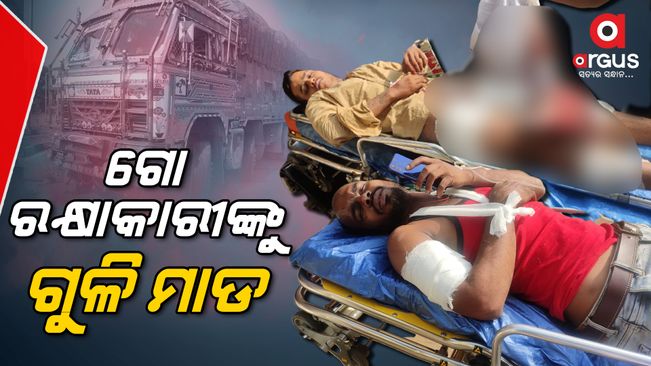 attack-on-cow-defenders-in-mayurbhanj