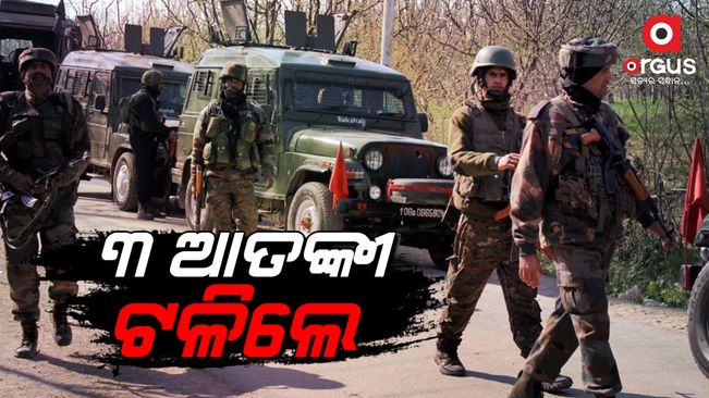 3 terrorists linked to LeT shot dead in Pulwama