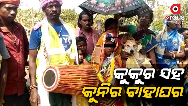 Dhenkanal, Odisha:  Minor Girl Marries Dog  Debagana Sahi in Kankadahada block