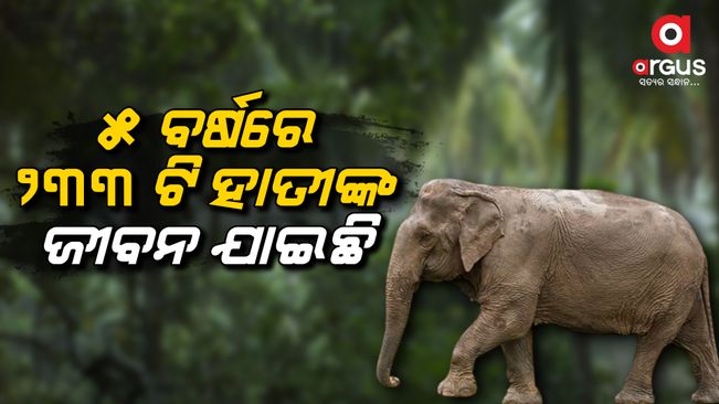Death of wildlife due to negligence is not true - Pradeep Amat