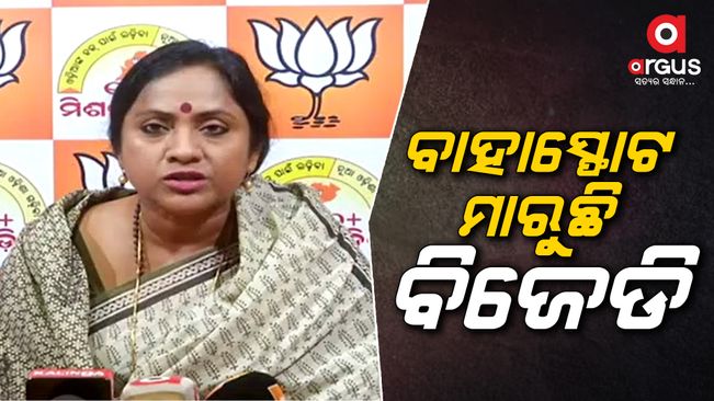 Lekhshree Samant Singhar address in a press  meeting, lashed out at the ruling party