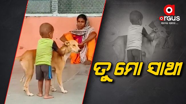 Friendship of Dog and a small Boy | Viral Video