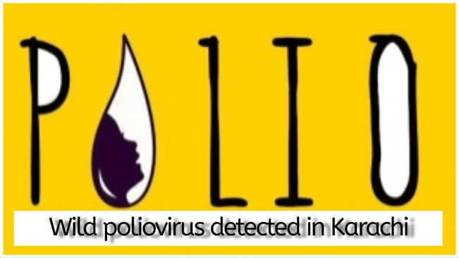 Wild poliovirus detected in environmental sample in Karachi