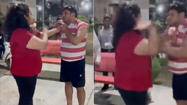 Watch:  Viral Video Of Noida Woman Slapping Man For Removing Her Missing Dog's Poster