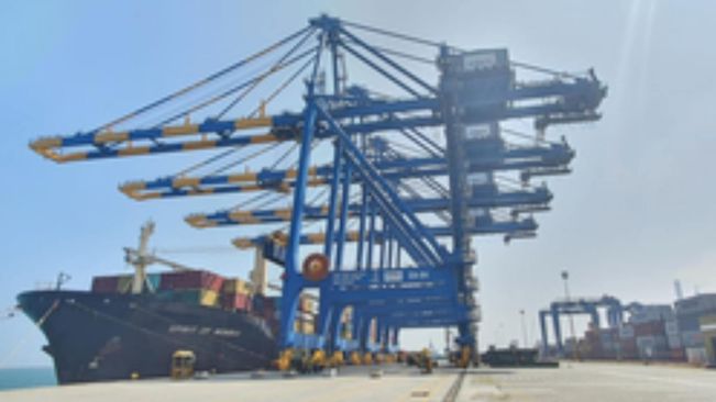 Adani Ports clocks 42 pc surge in net profit at Rs 5,520 crore in H1 FY25