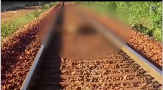 Woman, five cows killed in train accident in Koraput