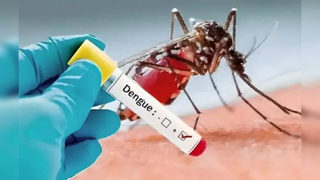 Monsoon Brings Surge In Dengue Cases: Doctors Advise Caution, Early Detection