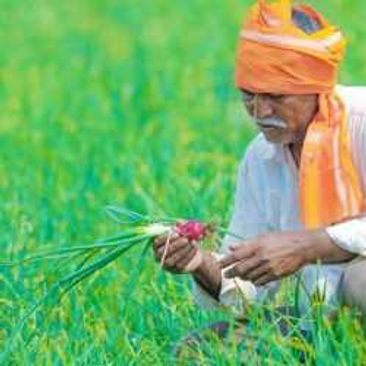 Farmer Satyagraha in front of Jagatsinghpur District Collector's office
