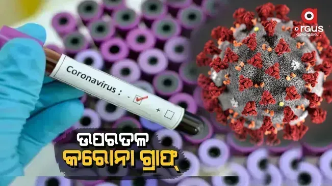 260 corona positive in Odisha today