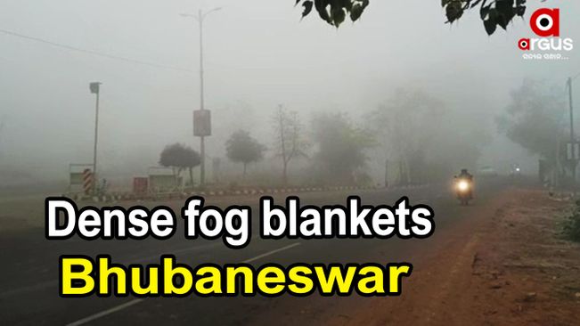 Dense fog envelopes Bhubaneswar; vehicular movement affected
