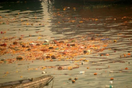 NGT seeks to reduce pollution in Ganga from tanneries in realistic manner