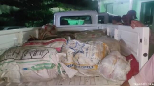 333 kg ganja seized, 1 held in Kalahandi