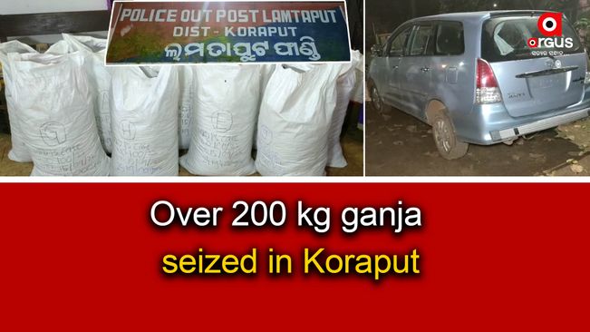 Ganja worth over Rs 20 lakh seized in Koraput; smugglers escape