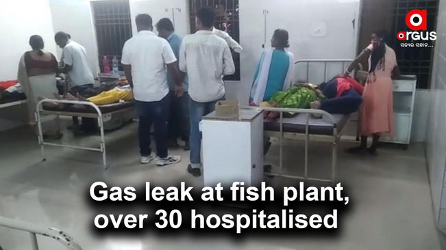 Balasore: Ammonia gas leak at fish plant, over 30 workers hospitalised