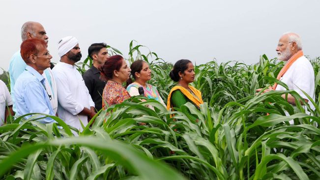 As Part Of Budget Announcement, 109 High Yielding Seeds Unveiled By PM Modi