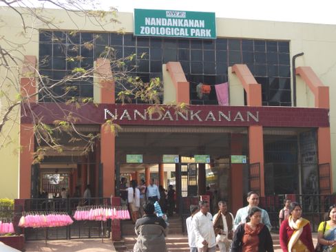 Two wild elephants have entered into Nandankanan, and tourists are denied entry | Argus News