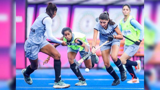 Hockey India Announces 33-Member Group For National Women’s Coaching Camp