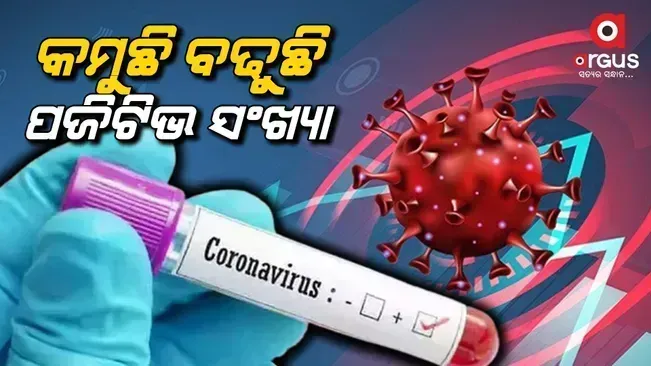 Odisha reports 269 new Covid-19 cases in last 24 hours