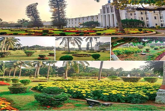 The flower garden of Lok Seva Bhavan opened for public