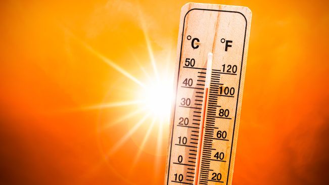 11th city recorded 40 degrees Celsius temprature