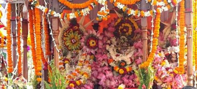Jhulana jatra begins in Puri Srikhetra