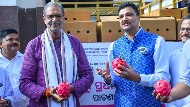 Taking New Stride In Trades: Odisha Exports Dragon Fruit To Dubai