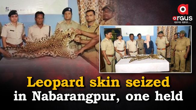 Nabarangpur: Man held for smuggling leopard skin in Umerkote area