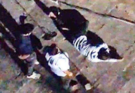 Lucknow Police begin probe into video showing man being thrown off terrace