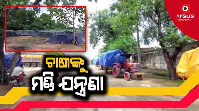 mandi issue in boudh
