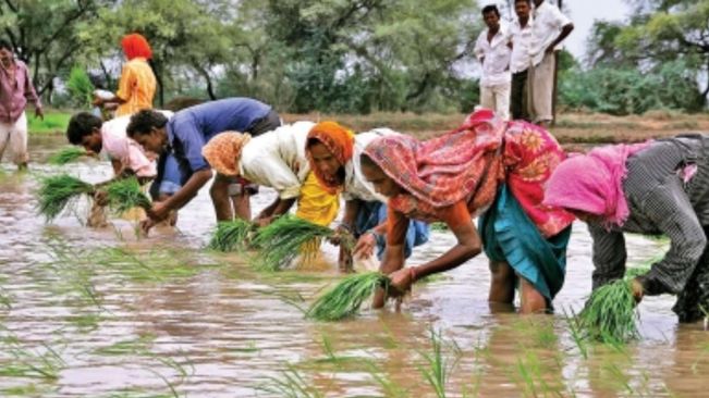 July begins with healthy rainfall, sowing status better than last year: Report