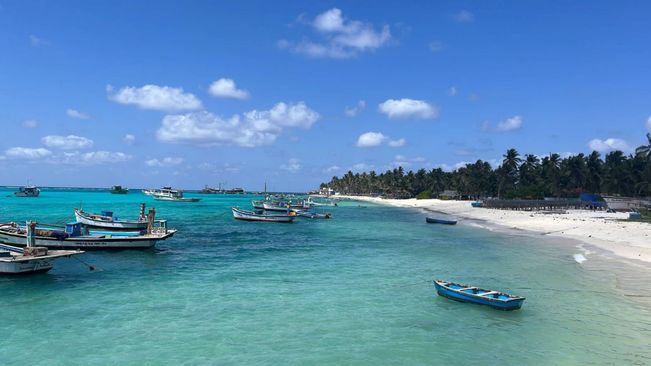 Discover The Enchanting Allure Of Lakshadweep