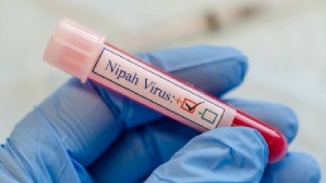 14-Year-Old Nipah Virus Patient Dies In Kerala, Centre Issues Advisory