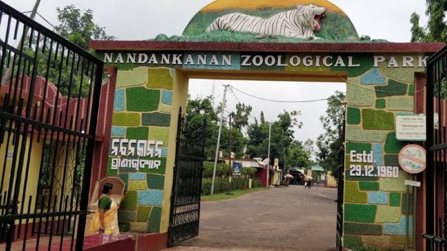 Impending Cyclone Dana: Nandankanan Zoo Takes Precautionary Measures To Protect Animals, Birds